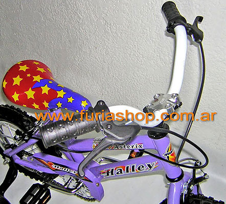 Bicicleta para chicos Raleigh Rodado 1