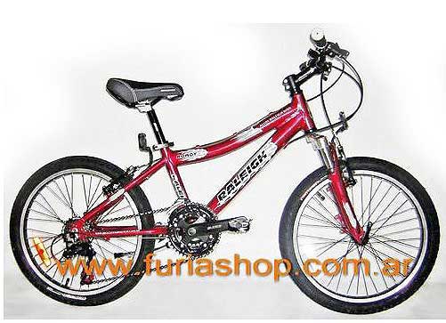 Bicicleta MTB Raleigh Rowdy Rodado 20