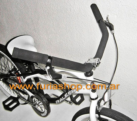 Bicicleta Raleigh Rodado 20 Tahoe