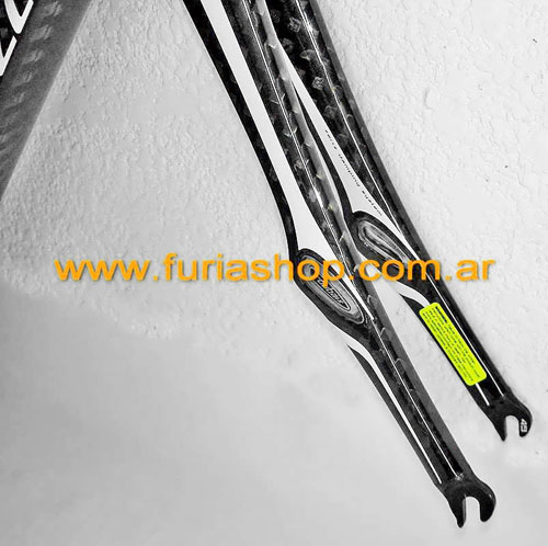 Cuadro Specialized Roubaix Pro SL Carbon