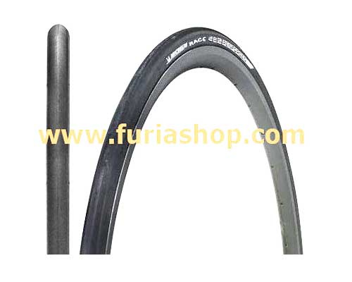 cubierta michelin pro