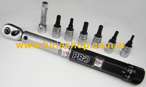 Torquimetro PRO Tools Wrench