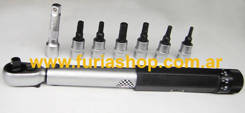 Torquimetro PRO Tools Wrench
